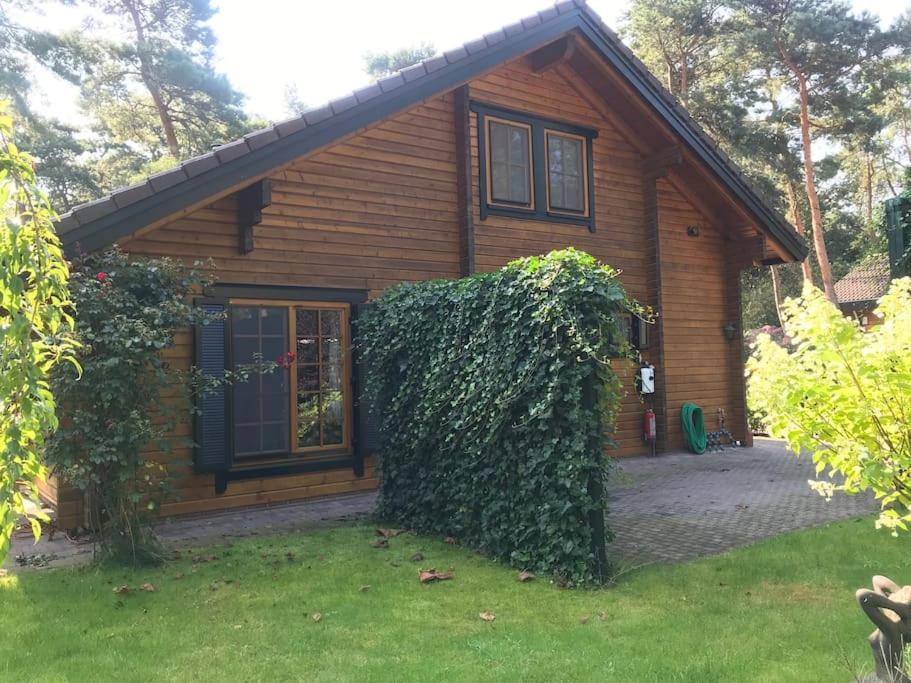 Houten Chalet/Bungalow In Het Bos, Sauna, Jacuzzi Meijel Exterior photo